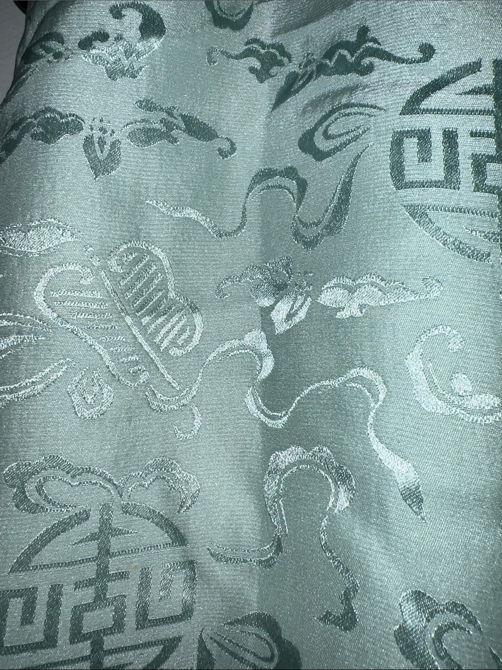 Light Mint 100% Silk Fringe Scarf - Women Accessories - Picture 5 of 9